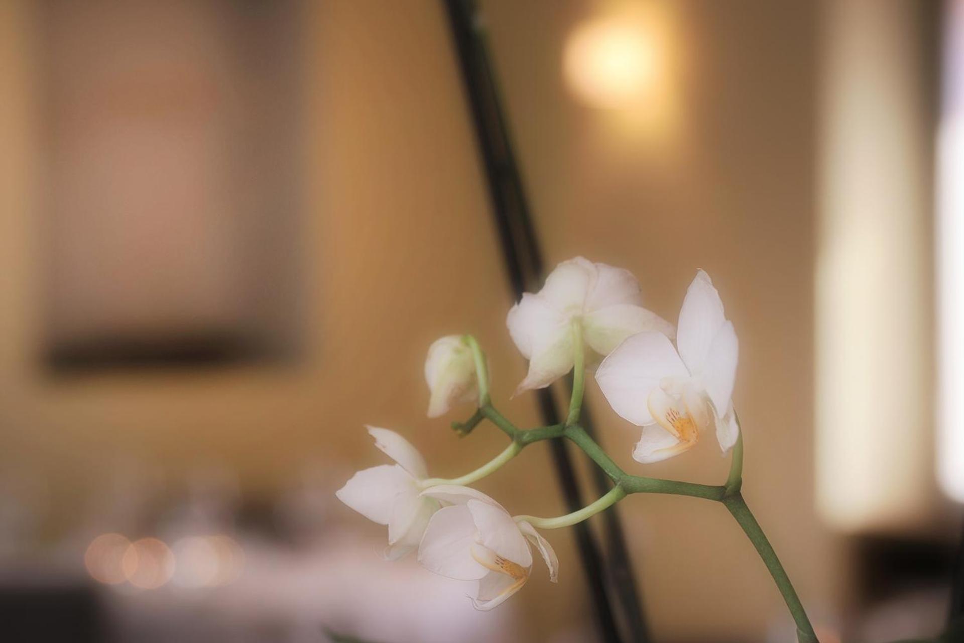 Ristorante Charme Hotel Tre Terre Ponte Brolla Eksteriør billede